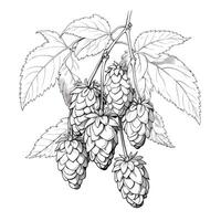 malt hops beer ai generated photo