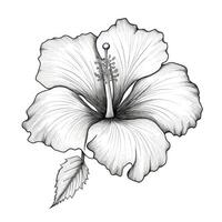 summer Hibiscus flower ai generated photo