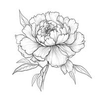 spring peonies ai generated photo