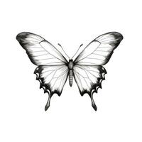 insect butterfly ai generated photo