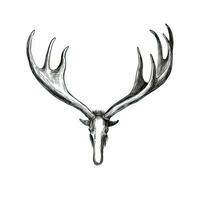 antler moose horn ai generated photo