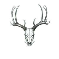 elk skull deer horn ai generated photo