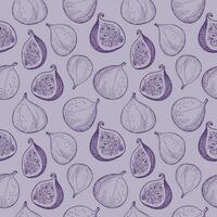 Figs seamless pattern vector background illustration with tropical fruit. Repeating ornament with fig tree for print, label, background, template, textile, paper, wrapping. Hand drawn