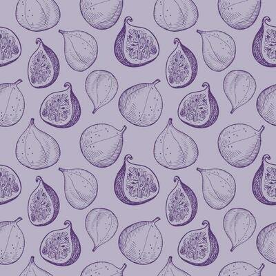 Figs seamless pattern vector background illustration with tropical fruit. Repeating ornament with fig tree for print, label, background, template, textile, paper, wrapping. Hand drawn