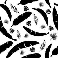 seamless pattern with black and white tropical leaf photo