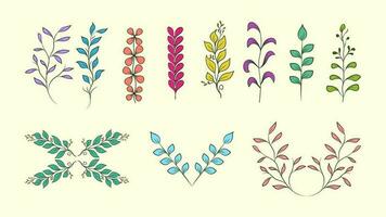 set of hand drawn floral elements. flower vector. botanical shapes. vector