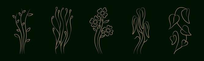 set of luxury floral elements design. botanical vector. flower set. vector