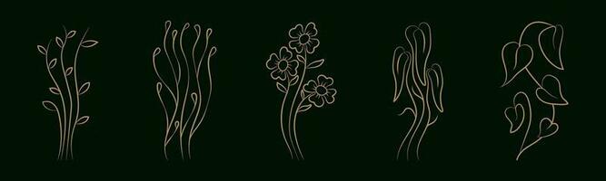 set of luxury floral elements design. botanical vector. flower set. vector