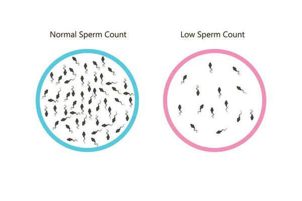 Sperm Count Vector Art Icons And Graphics For Free Download sperm-count-vector-art-icons-and-graphics-for-free-download