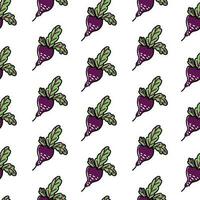 Beetroot pattern for vegetable design vector