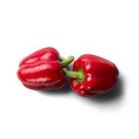 Spicy paprika isolated on white background for your asset design. photo