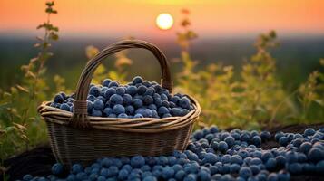 a rustic basket overflowing with plump blueberries against a backdrop of a picturesque sunset, AI Generative photo