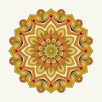 A colorful floral mandala pattern  design with a flower in the middle. vector