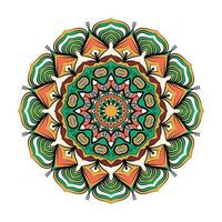 A drawing of a mandala vector with a colorful pattern.