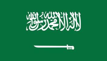 saudi arabia bandera icono en plano estilo. nacional firmar vector ilustración. diplomático negocio concepto.