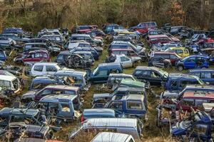 Many cars in a scrapyard with bonnets up and parts missing like tires photo