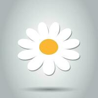 Chamomile flower vector icon in flat style. Daisy illustration on white background. Camomile sign concept.