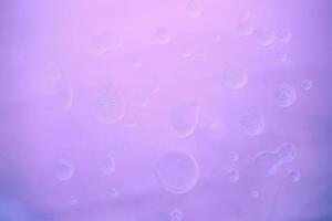 pink abstract clear bubbles texture photo