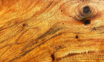 wood texture background photo
