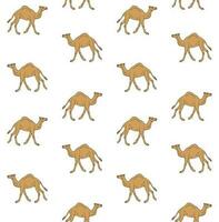 Vector seamless pattern of hand drawn camel