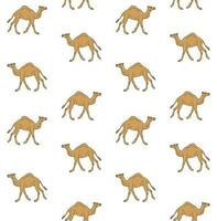 Vector seamless pattern of hand drawn camel