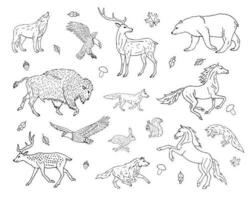 Vector hand drawn sketch set of wild animals