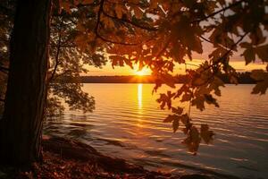 un hermosa Disparo de un lago durante puesta de sol con un árbol en el primer plano ai generado foto