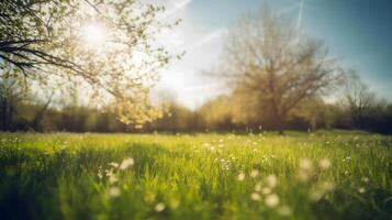 view spring nature with a neatly trimmed lawn surrounded by trees , photo