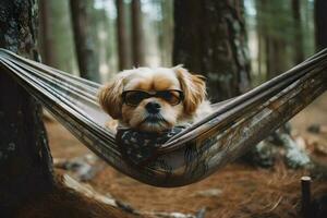 cute dog is sitting on a hammock in a pine forest ,generative ai photo