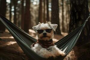 cute dog is sitting on a hammock in a pine forest ,generative ai photo