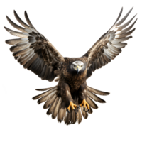 eagle isolated on transparent background ,pounced eagle png ,generative ai