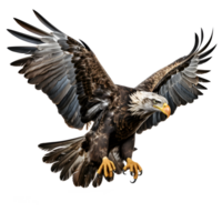 eagle isolated on transparent background ,pounced eagle png ,generative ai