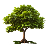 tree isolated on transparent background ,3d render illustration of tropical trees ,generative ai png