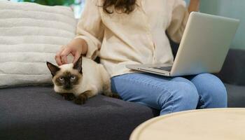 woman working from home with cat. cat asleep on the laptop keyboard. assistant cat working at Laptop photo