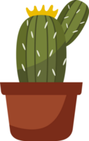 plante d'appartement sur une pot plat illustration png