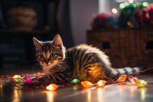 Adorable kitten playing with a string of Christmas lights and a shiny ornament in a bright and colorful living room. photo