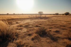 Barren field under a scorching sun, devoid of crops or any sign of life. photo