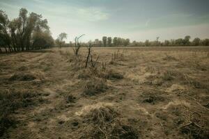 AI Generated Barren field under a scorching sun, devoid of crops or any sign of life. photo