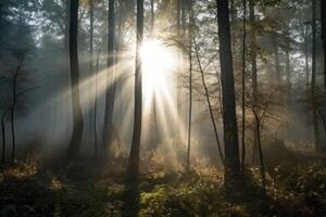 AI Generated Misty forest at dawn, featuring a hazy fog enveloping the trees and a shaft of sunlight filtering through the canopy. photo