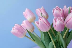 Tulips bouquet on colorful background with copy space photo