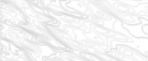 Geographic mountain topographic map grid. Elevation graphic contour height lines. Topographic map background. photo