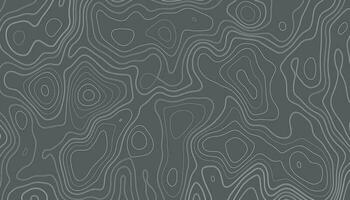 Background of the topographic map. Elevation contouring outline cartography texture. Geographic abstract grid. Futuristic wireframe landscape background. black and white seamless pattern. vector