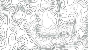 Abstract topographic map background. Abstract topographic map background. Imitation of a geographical map. Geographic map conceptual design. Elegant background for presentations. vector