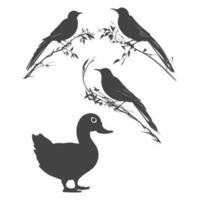 Hunting silhouette birds Vector set