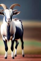 Eid Al Adha greeting realistic goat poster photo