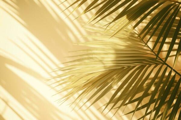 Gold Palm Leaves Stock Photos, Images and Backgrounds for Free Download