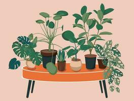 pila, monstruo, ficus, filodendro y sansevieria plantas de interior en el mesa ilustración. escandinavo acogedor hogar decoración. plano vector vistoso dibujos animados icono ilustración de casa planta aislado.