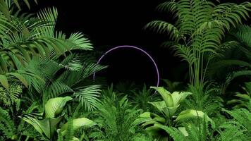 colorida tropical selva néon fundo ciclo video