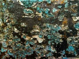 Blue peeling paint, rusty surface. Old rusty metal with cracked flaking enamel. Weathered rough painted surface with patterns of cracks and peeling. Texture for background and design.  Photo