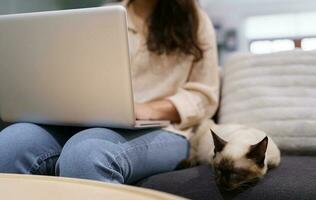 woman working from home with cat. cat asleep on the laptop keyboard. assistant cat working at Laptop photo